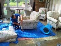 Carpet and Upholstery care (Nottingham) 359720 Image 1